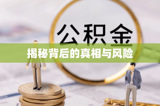 枝江揭秘背后的真相与风险