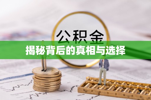 枝江揭秘背后的真相与选择
