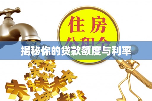 枝江揭秘你的贷款额度与利率