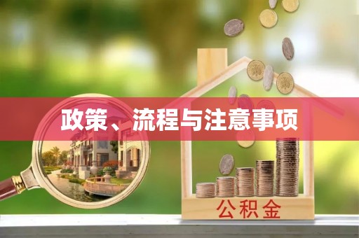 枝江政策、流程与注意事项