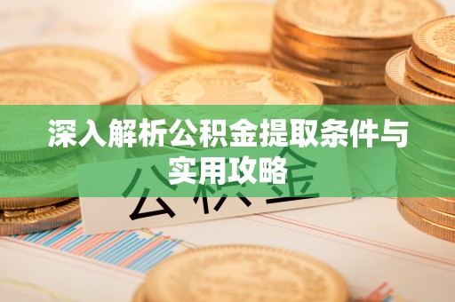 枝江深入解析公积金提取条件与实用攻略