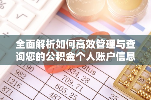 枝江全面解析如何高效管理与查询您的公积金个人账户信息