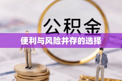 枝江便利与风险并存的选择