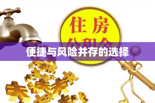 枝江便捷与风险并存的选择