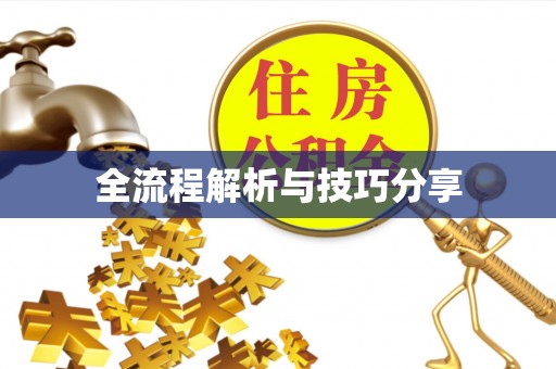 枝江全流程解析与技巧分享