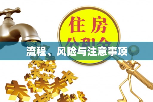 枝江流程、风险与注意事项