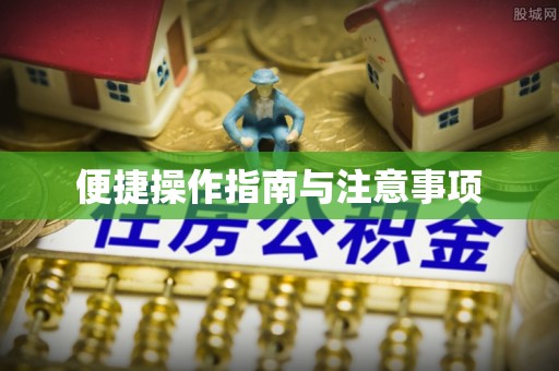 枝江便捷操作指南与注意事项