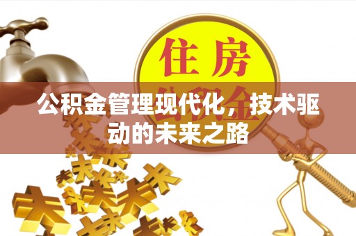枝江公积金管理现代化，技术驱动的未来之路