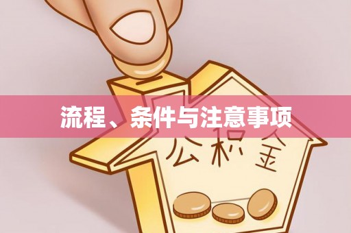 枝江流程、条件与注意事项